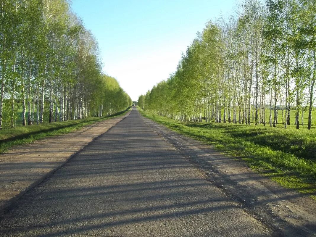 Дорога домой нижний. Дорога домой. Дорога домой фото. Путь домой фото. Дорога -путь домой фото.