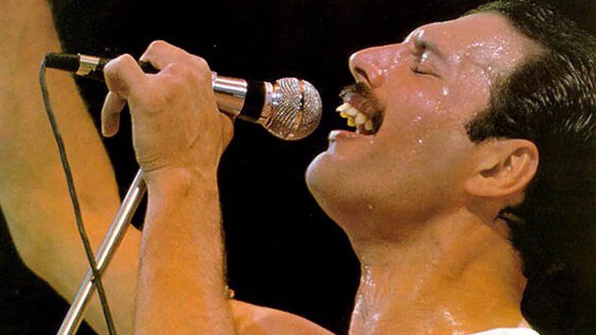 Жизнь фредди меркьюри. Freddie mercury. фредди меркури 1977. фредди меркури 1985. freddie mercury 1991.