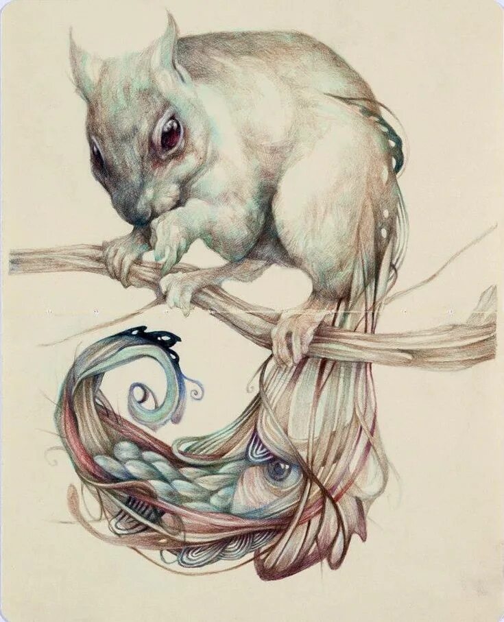 Рисунки животных которые нарисованы. Животные рисунки. милые мифические существа. фэнтези животные. необычные рисунки.