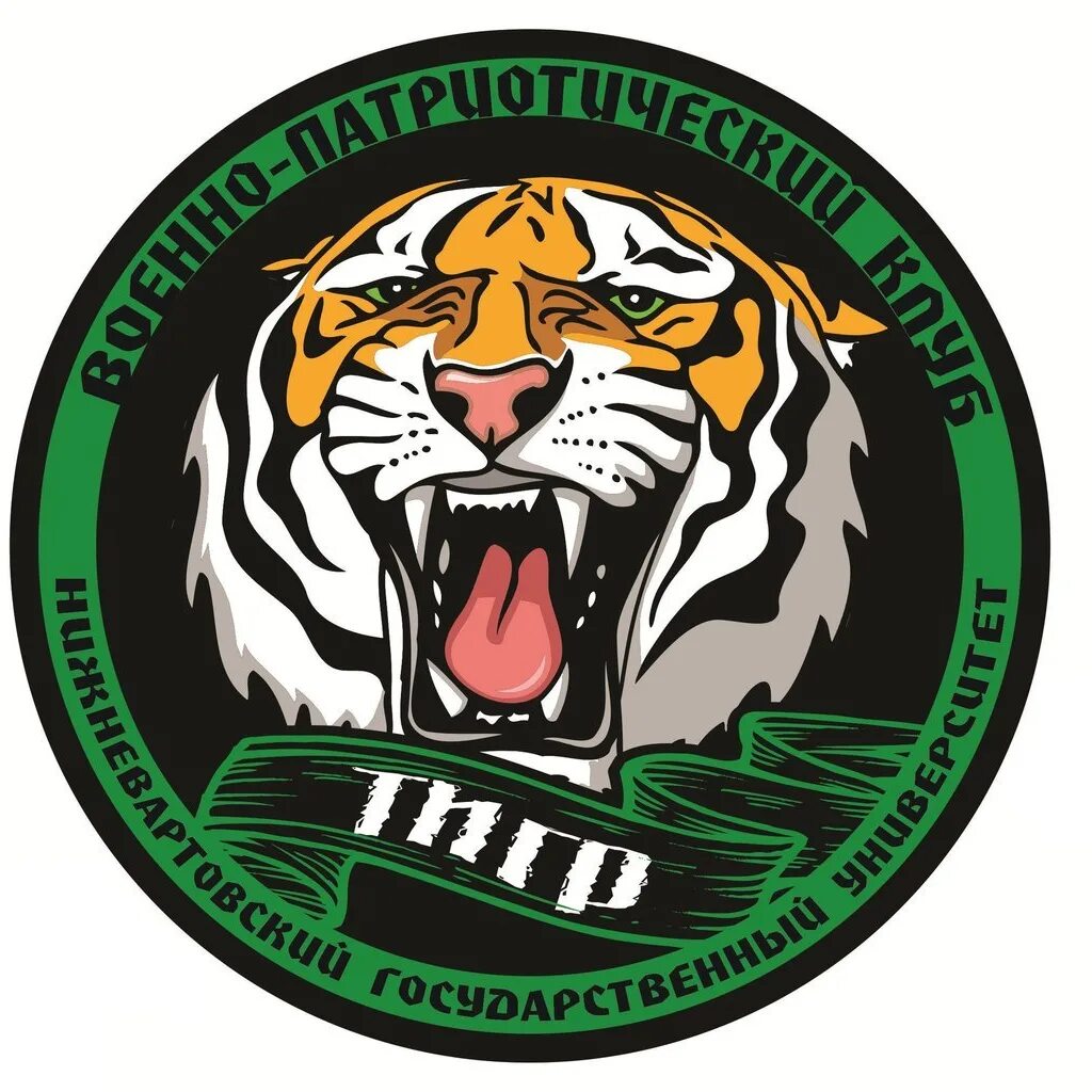 Tiger 2025. Спортивный клуб тигр. эмблемы спортивных клубов с тигром. ученик тигра (2025).