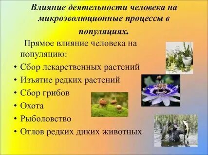 Пример положительного влияния