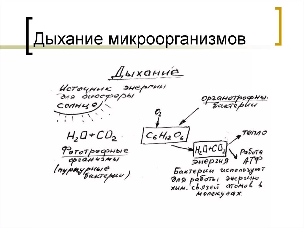 Питание и дыхание бактерий. Дыхание бактерий микробиология схема. механизмы дыхания микроорганизмов микробиология. механизмы дыхания бактерий микробиология. физиология микроорганизмов дыхание схема.
