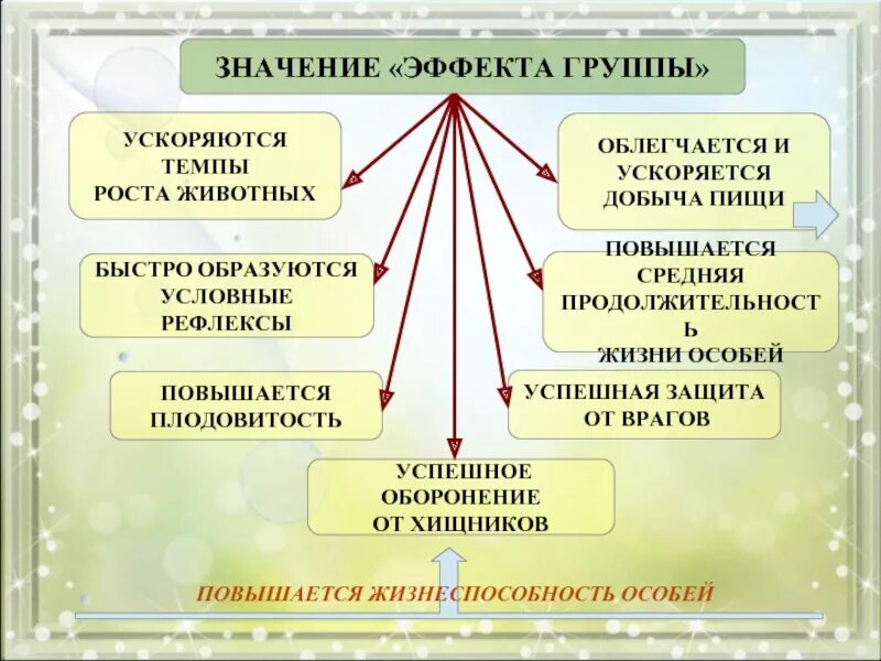 Значимый эффект. Эффект группы в экологии. Эффект группы примеры. Эффект группы примеры животных. Эффект группы в экологии примеры.