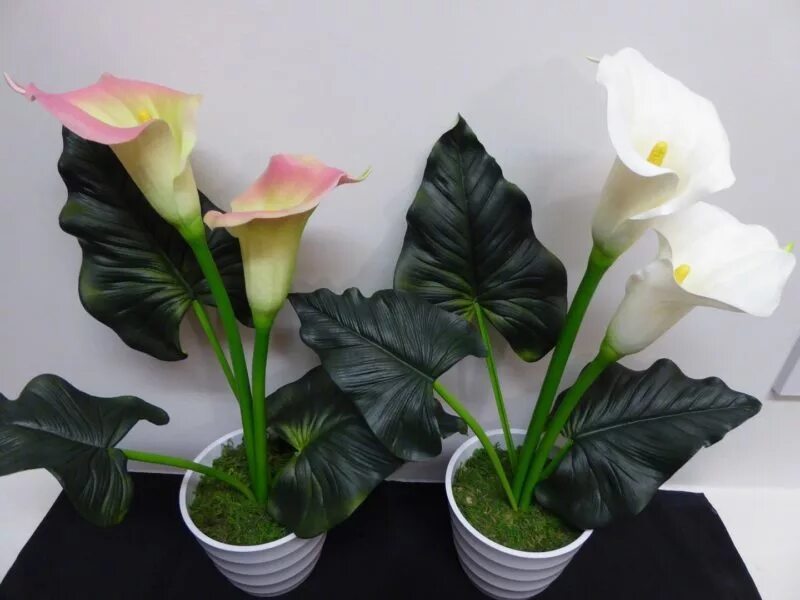 Искусственный Цветок Calla, зеленое растение, искусственное растение, Цветок для