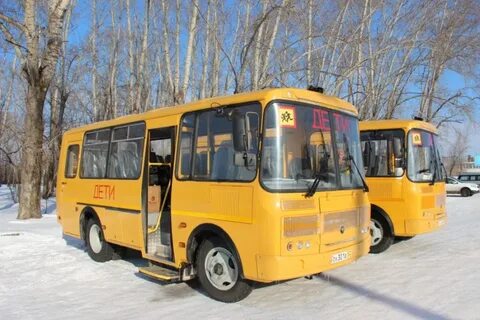 Сланцы школьный автобус