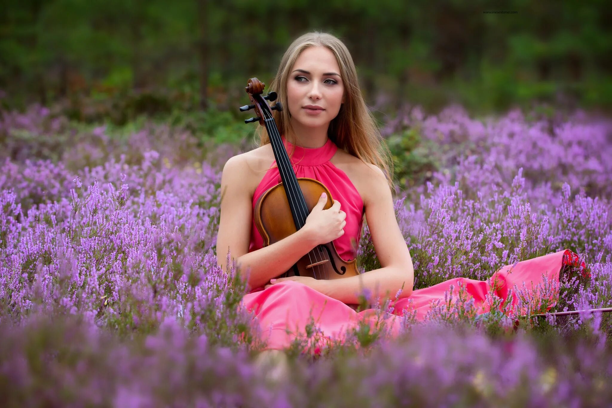 Violin love. Девушки со скрипкой. Фотосессия со скрипкой на природе. Женщина со скрипкой. Девушка скрипачка.