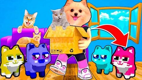 Игры роблокс котик