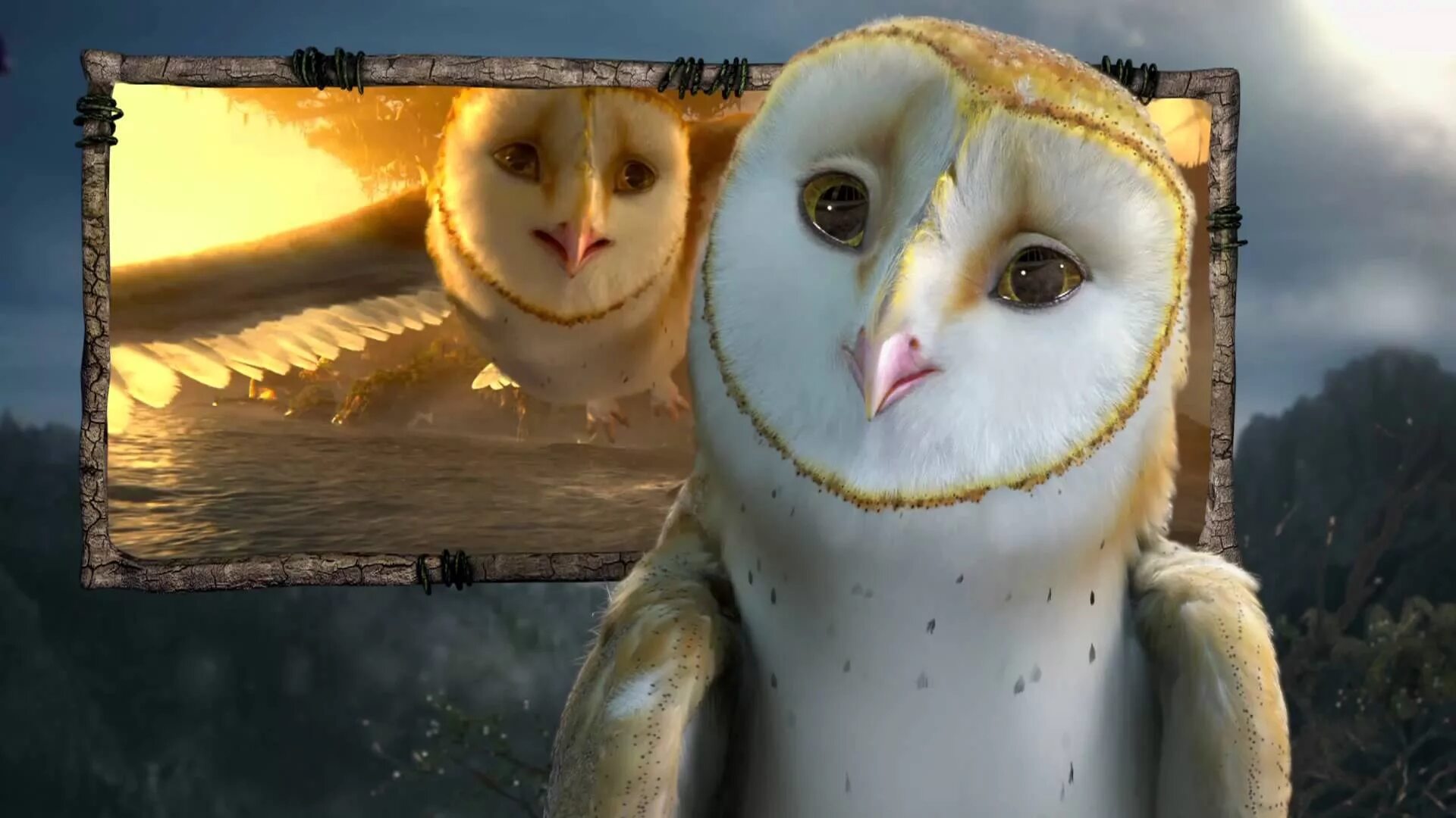 Ga hoole guardians the owls legend. Легенды ночных стражей Сорен. Сорен из легенд ночных стражей. Ночные Стражи Клудд. Ночные Стражи мультфильм.