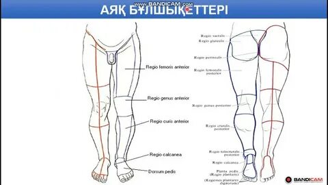 Анфиса Чеховамен секс порнографиялық көріністер