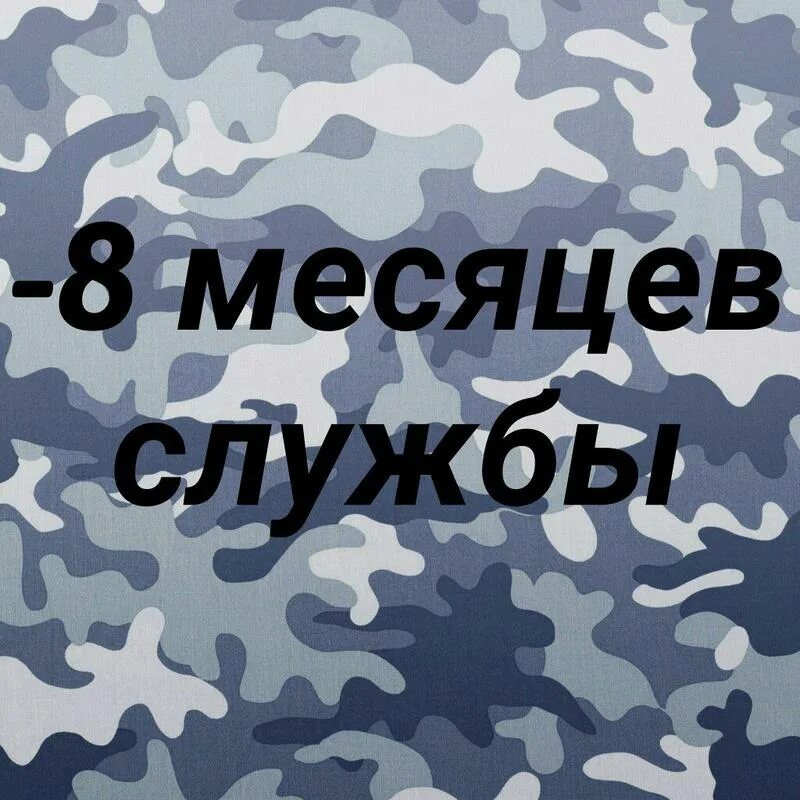 Месяцы службы в армии картинки. 8 Месяцев службы. Месяц службы. Поздравление с 8 месяцев службы в армии. Семь месяцев позади службы.