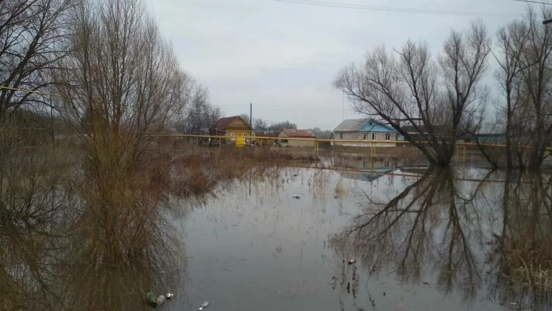 Уровень реки мокша. Паводок. подтопление краснослободский район. река мокша. половодье омская.