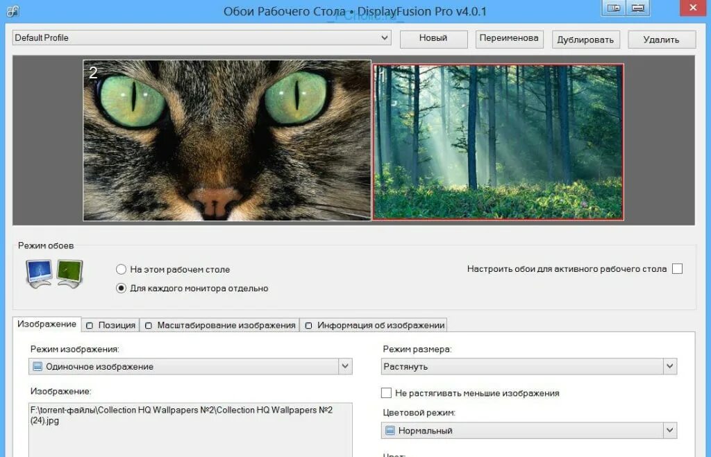 Дублирование экрана Windows 7. Приложение для двух мониторов. Программа для управления мониторов. Программа для 2 мониторов.