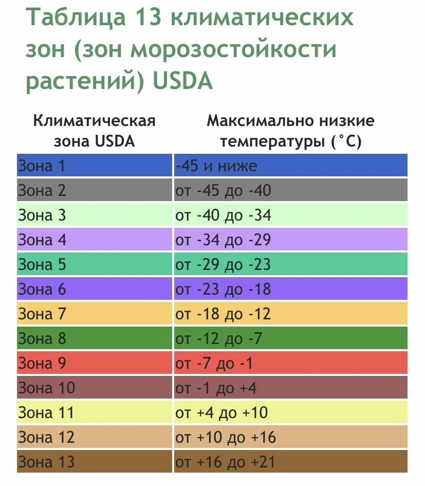 Зона морозостойкости 3. 5 Зона зимостойкости. Таблица морозостойкости растений. Зоны морозостойкости растений. Зона морозостойкости таблица.