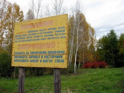 Институт леса красноярск имени сукачева