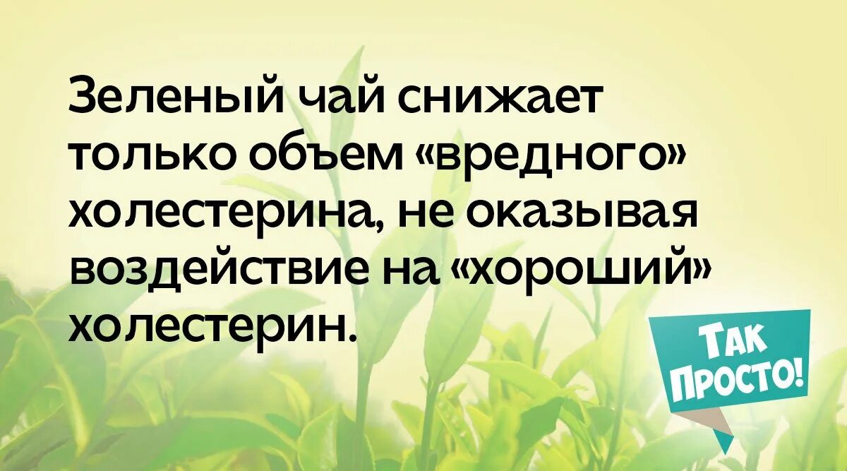 Почему говорит зеленый. Зелёный чай польза. Зеленый чай не рекомендуется употреблять. Почему нельзя зеленый чай. Велкейд почему нельзя пить зеленый чай.