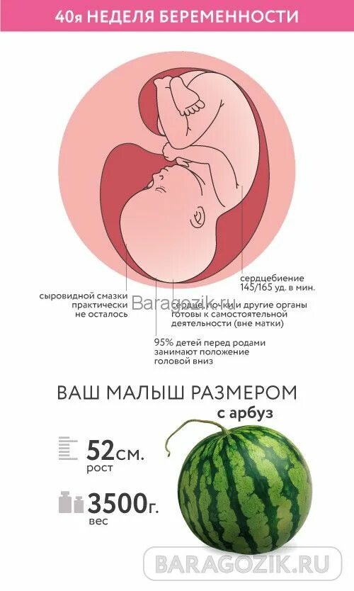 15 Недель беременности размер малыша. Плод в 17-18 недель беременности размер плода. 20 Недель беременности размер плода. Размер ребенка на 20 неделе.