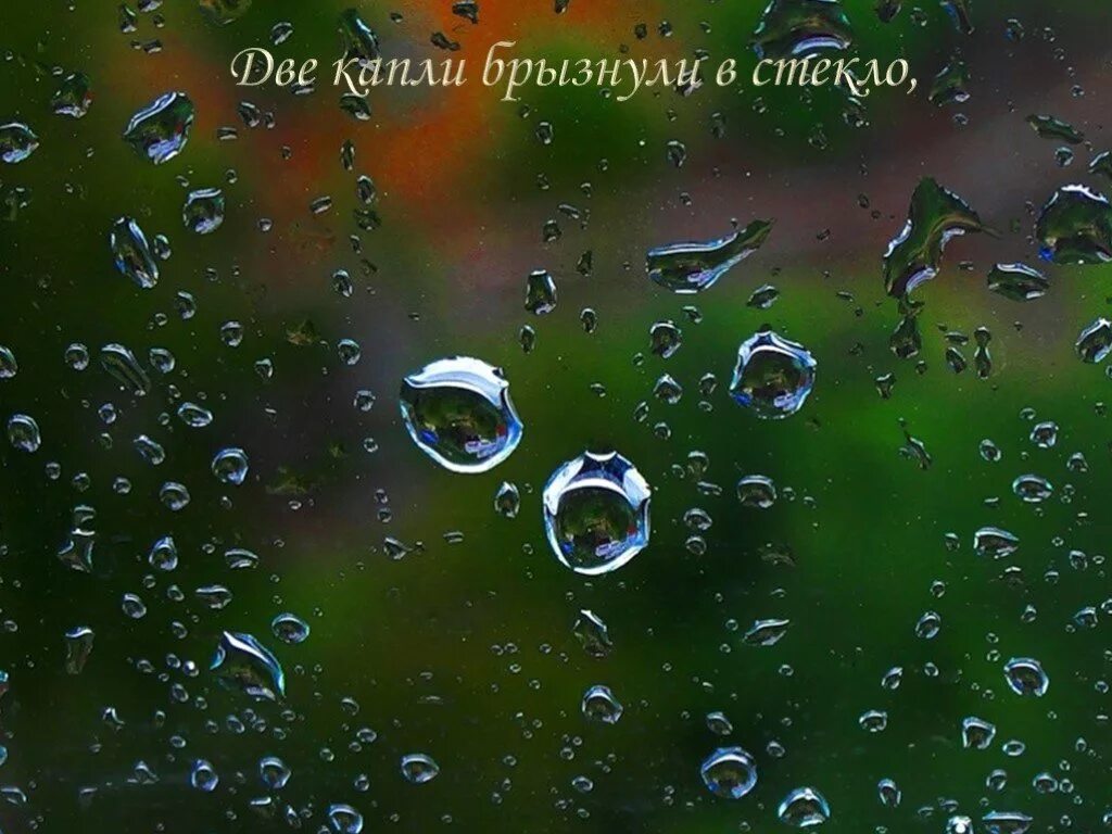 Две капли брызнули в стекло от лип. Две капли брызнули в стекло от лип душистым. Стих весенний дождь. Стих две капли брызнули в стекло от лип душистым медом тянет. Две капли брызнули в стекло от лип душистым мёдом тянет.