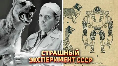 Ужасный опыт