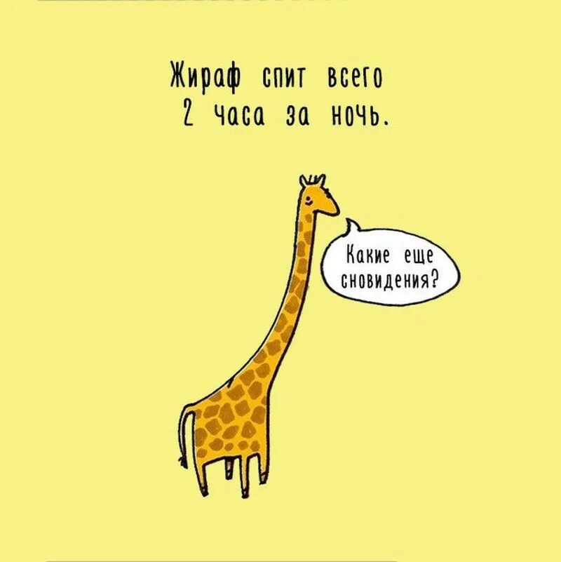 Интересные факты о животных. Какие факты о животных. Факты о животных. Интересныеифакты о животных. Интересные факты о животных.