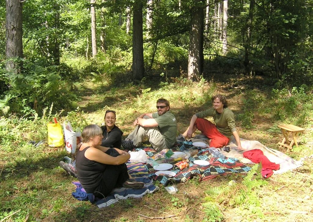 Люди отдыхают в лесу. Отдых на природе. Шашлыки на природе. Пикник шашлык на природе. Пикник в молодости фото