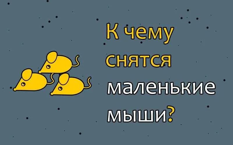 К чему снятся мыши. К чему снятся маленькие мышки. К чему снится мышка маленькая. К чему снятся мыши маленькие женщине. Что значат мыши во снах