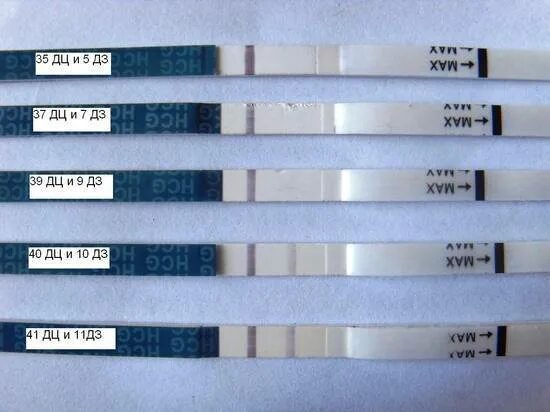 За 1 день до месячных тест отрицательный. Тест на беременность на 5 день задержки. Третий день задержки тест отрицательный. День задержки тест отрицательный. Что делать если задержка неделю