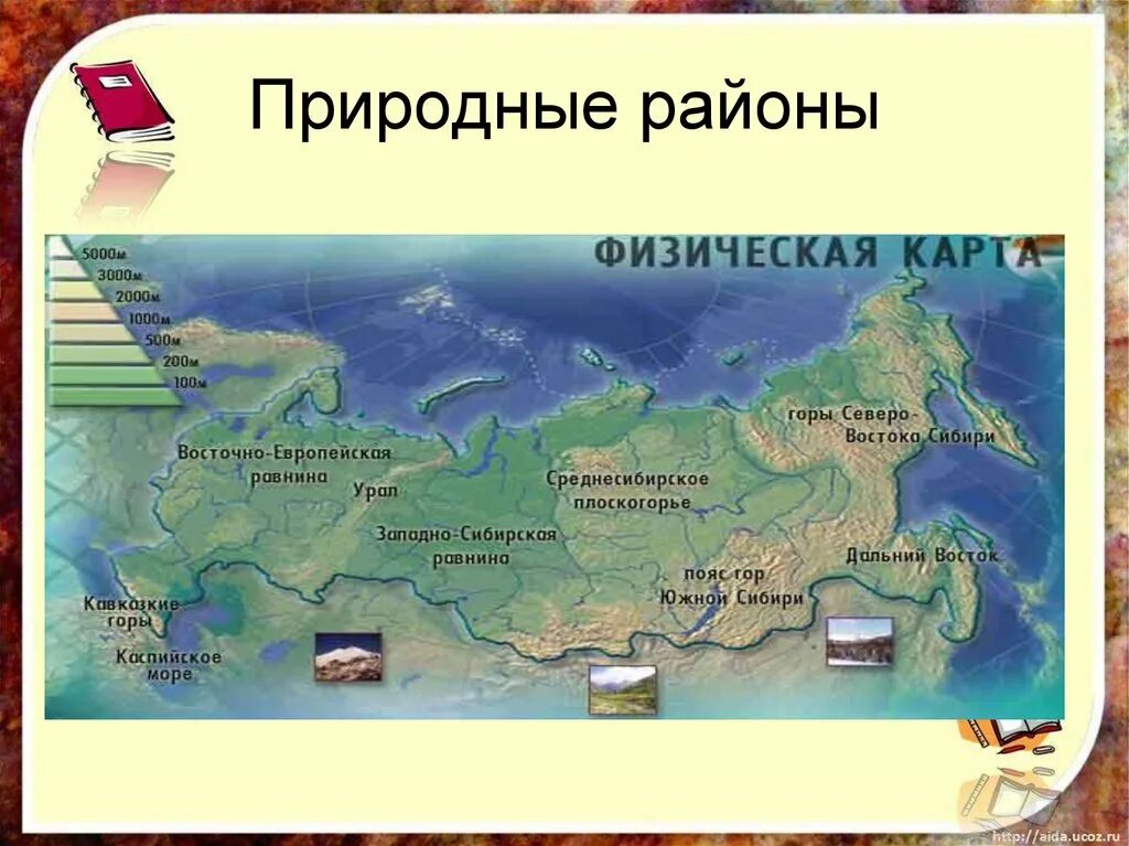 Природные районы. Природные районы России. Крупные природные районы России. Крупные природные районы России на карте.