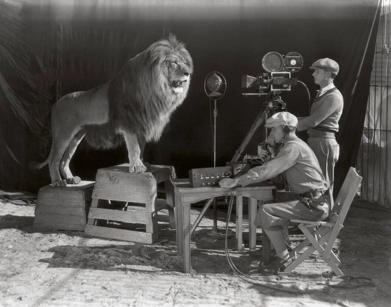 Звуки кинофильмов. Metro Goldwyn Mayer 1924. Metro-Goldwyn-Mayer Лев Джеки. Метро Голдвин Майер 1924 Лев. Киностудия метро Голден Майер.