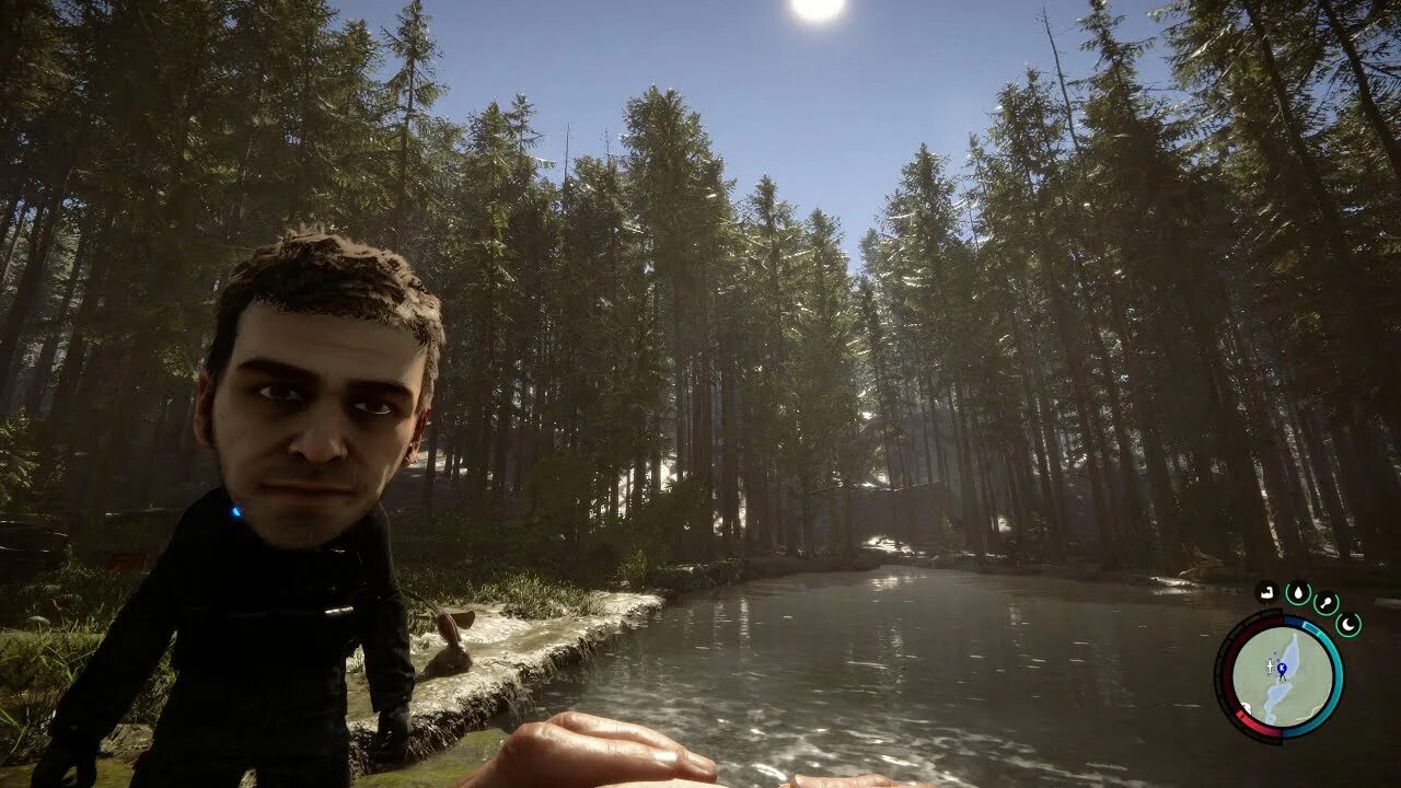 Сонс оф ве форест. Sons of the forest игра. sons of the forest 2. сон оф зе форест.