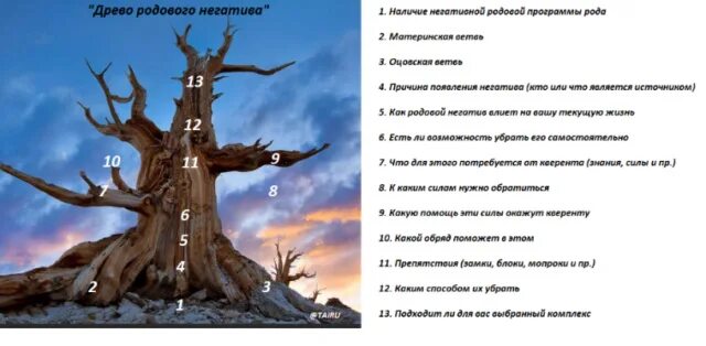 Род негатив. Род негатив. Картины алан томаш копера. Род негатив. Род негатив.