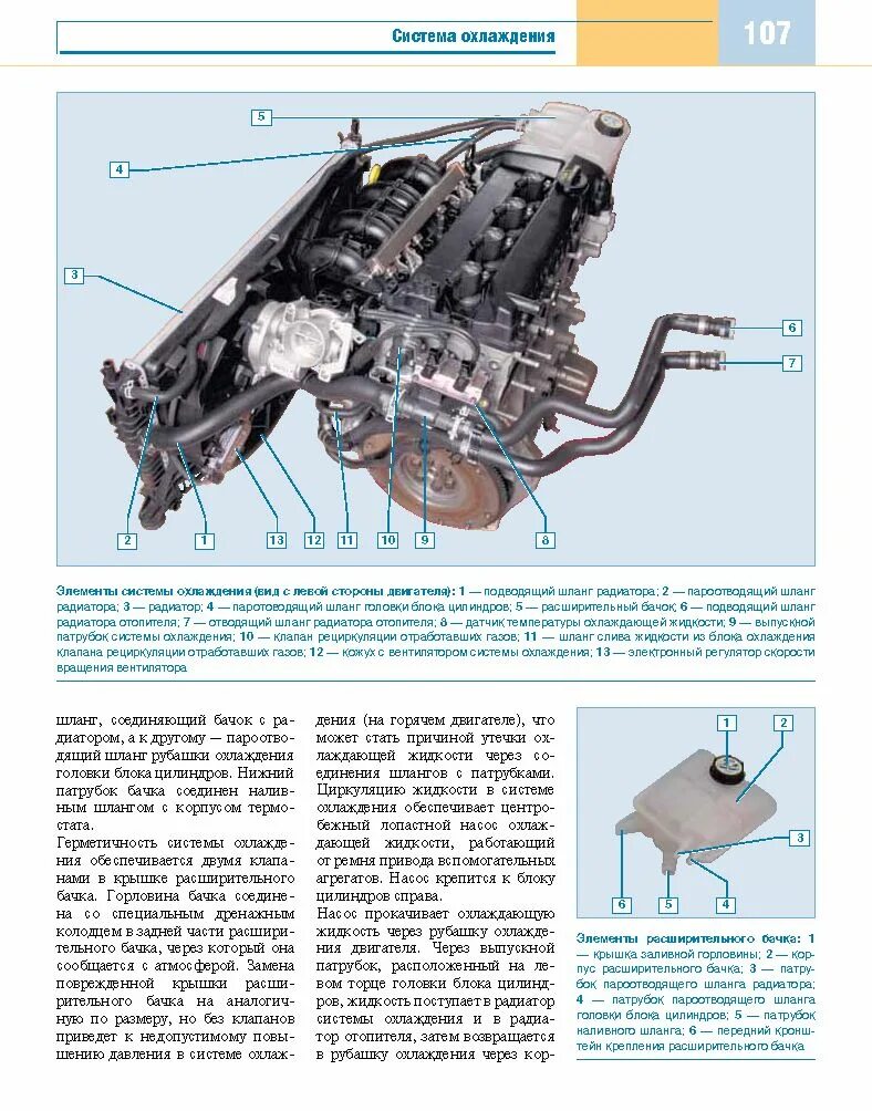 Система охлаждения фокус 2 2.0. Система охлаждения Форд фокус 2 1.8 125л.с. Система охлаждения Ford Focus 2 1.8. Ford Focus 2 1.6 схема двигателя.