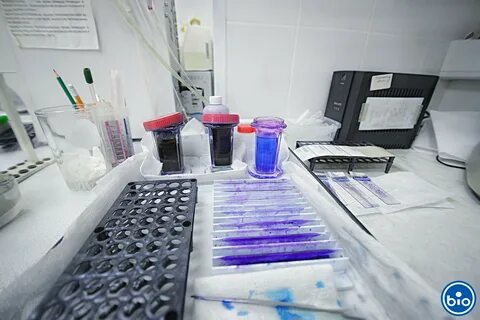 Лаборатории ветеринарных анализов