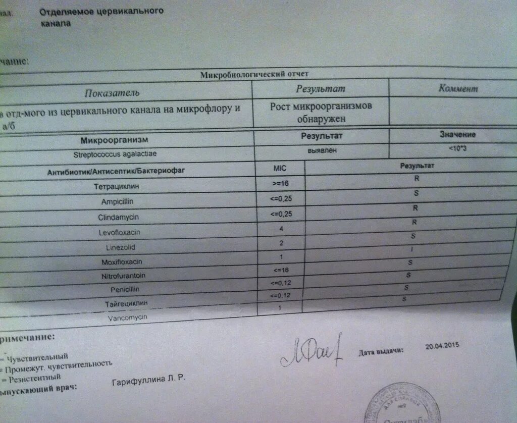 Стафилококк спп. Анализ на стрептококковую инфекцию. стафилококк и стрептококк в мазке. норма стрептококка в мазке из зева у женщин. стрептококк посев норма.