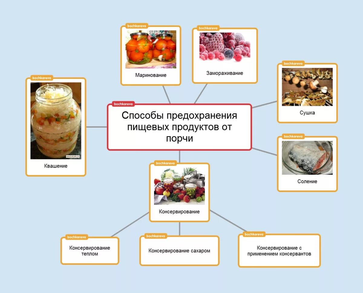 Как можно защитить продукты от бактерий. Методы предотвращения порчи сырья и готовой продукции. Методы предотвращения порчи продуктов. Методы хранения пищевых продуктов. Способы сохранения продуктов от порчи.