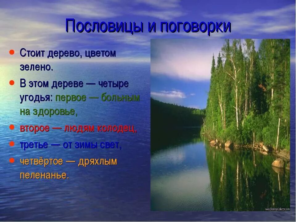 Правила жизни в ладу с природой 3. Поговорки о природе. Пословицы о жизни в ладу с природой. Пословицы в ладу с природой. Пословицы о природе.