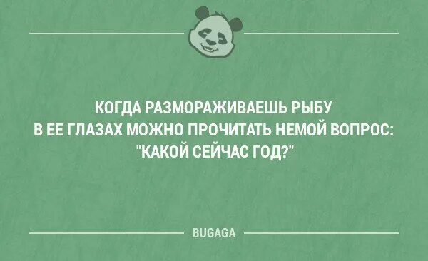 Немой вопрос картинки. Шутки про командировку. Немой вопрос в глазах. Смешные котики с надписями до слёз. Померкло всё глаза опухшие от слёз в сознании.