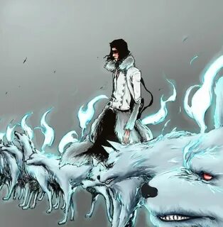 Coyote starrk