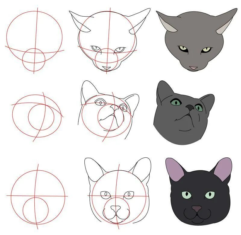 Как нарисовать катнапа. Анатомия морды кота. Рисование кошки. Рисование морды кота. Поэтапное рисование кота.