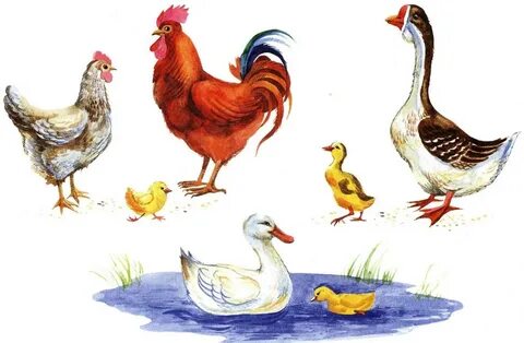 Порно сперму на языке компиляция