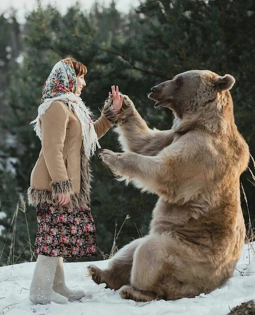 Медведь Россия. Русский мишка. Медведь и девочка в русском стиле.