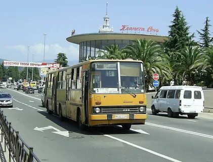 48 автобус сочи
