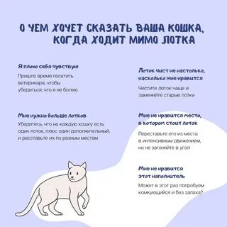 Почему не приходят cats