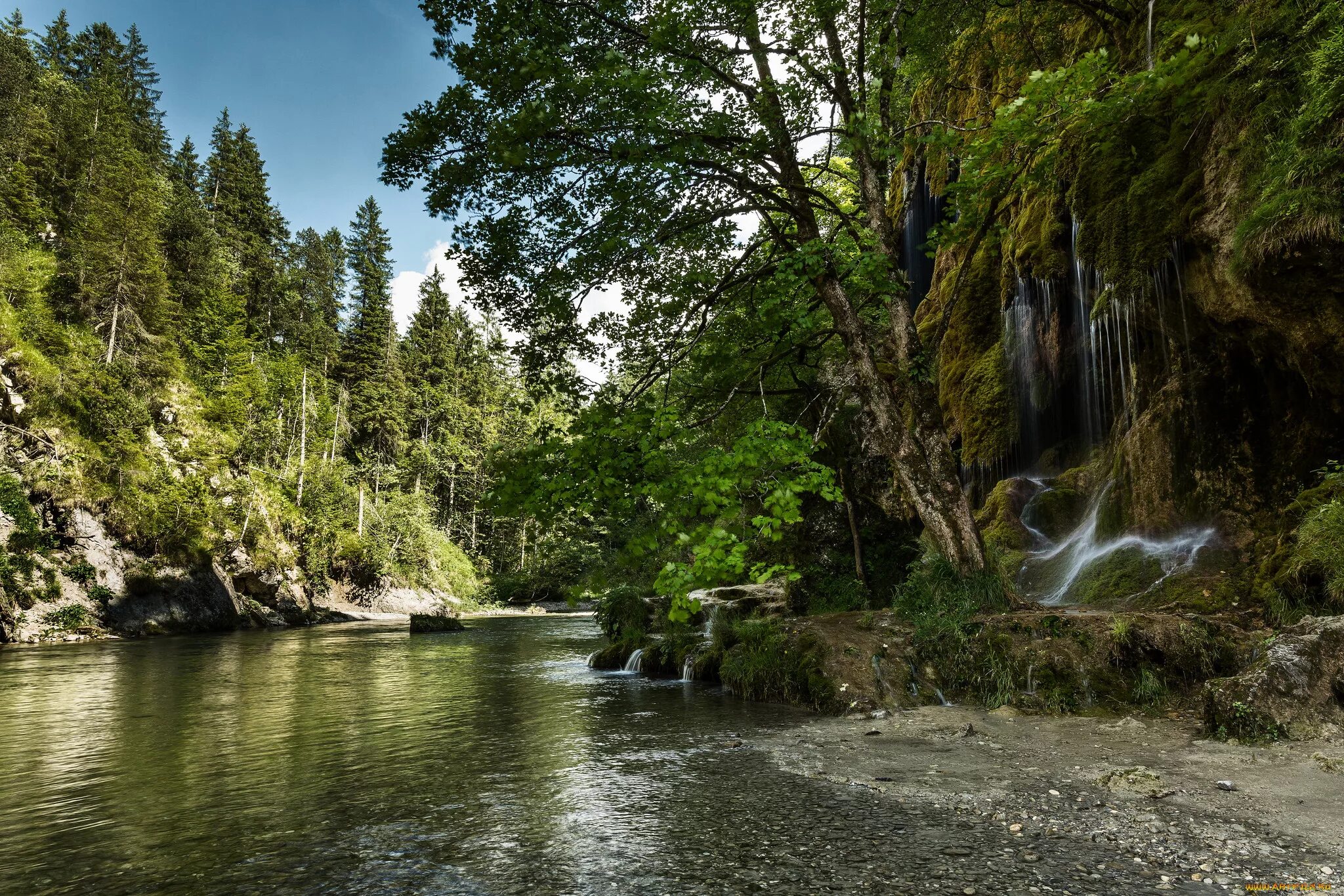 Рубикон река в италии. Река 60. Рубикон река фото. Боровой лес река. Алтай река башкаус.