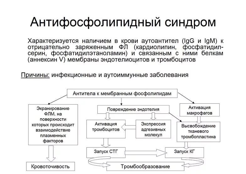 Клинические проявления афс. Антифосфолипидный синдром лабораторные критерии. Антифосфолипидный синдром диагностика и клинические проявления. Антифосфолипидный синдром иммунопатогенез. Антифосфолипидный синдром клинические рекомендации.