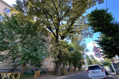 Бывшее название краснодара