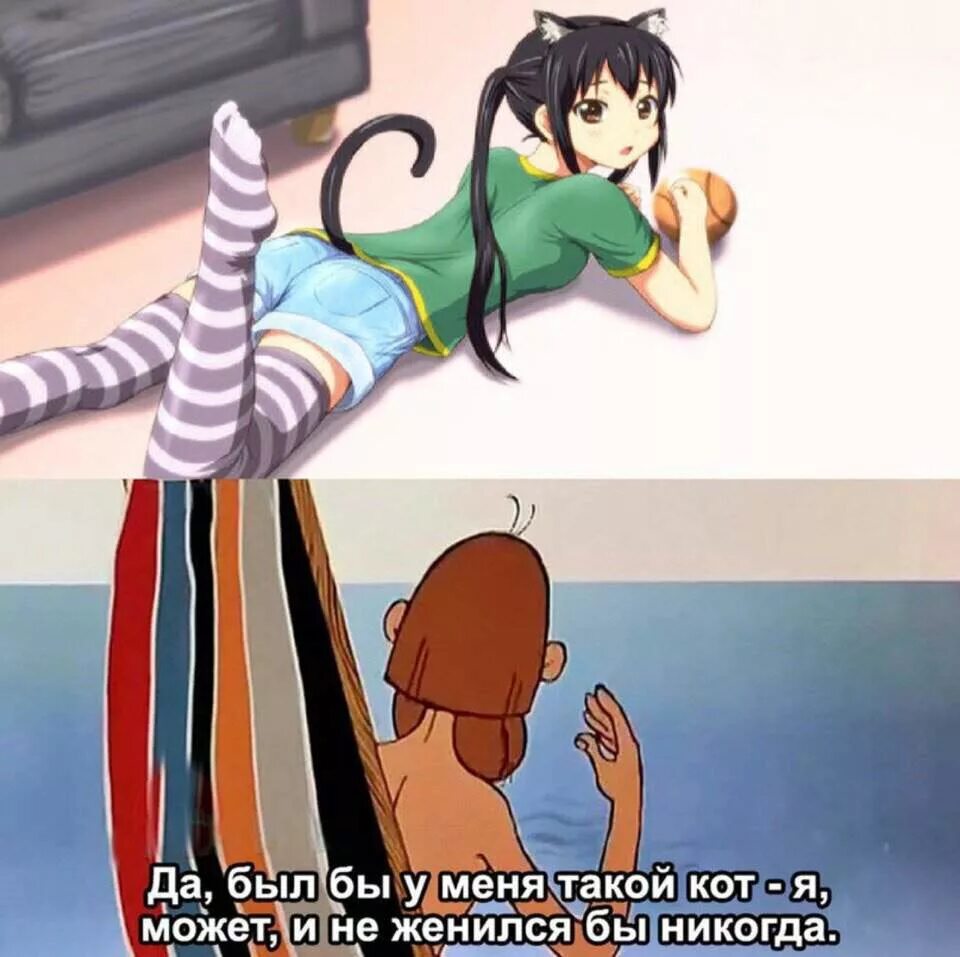 Прикол про 40 кошек. Мемы девушка любит парня. Почему завести кота хорошо. Про одиноких женщин и кошек. Было бы у меня такой кот.