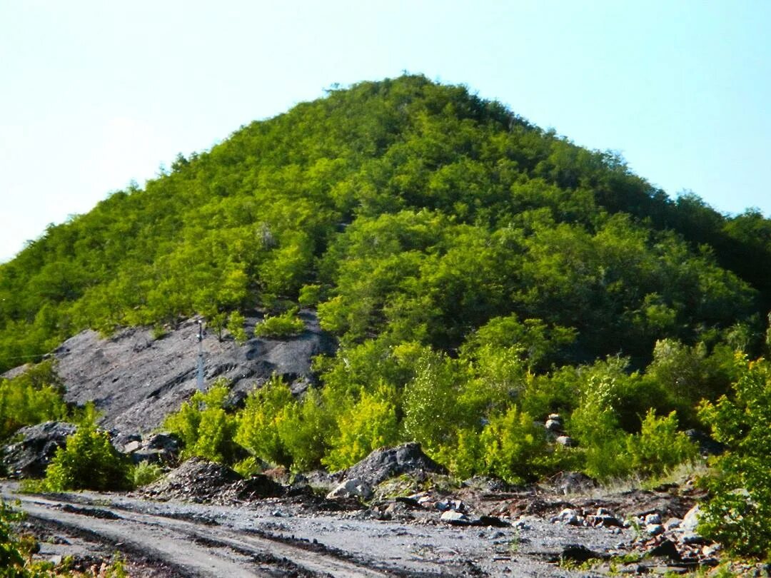 террикон новошахтинск 43-й. терриконы донбасса шахты. новошахтинск горы. терриконы краснодона. терриконы в ростовской области.