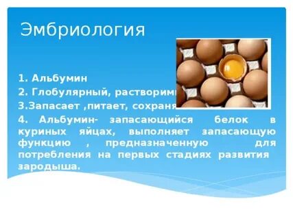 Запасающая функция в организме выполняет