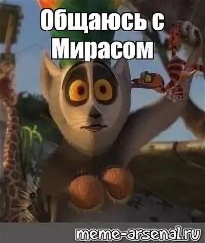 Общайтесь мем