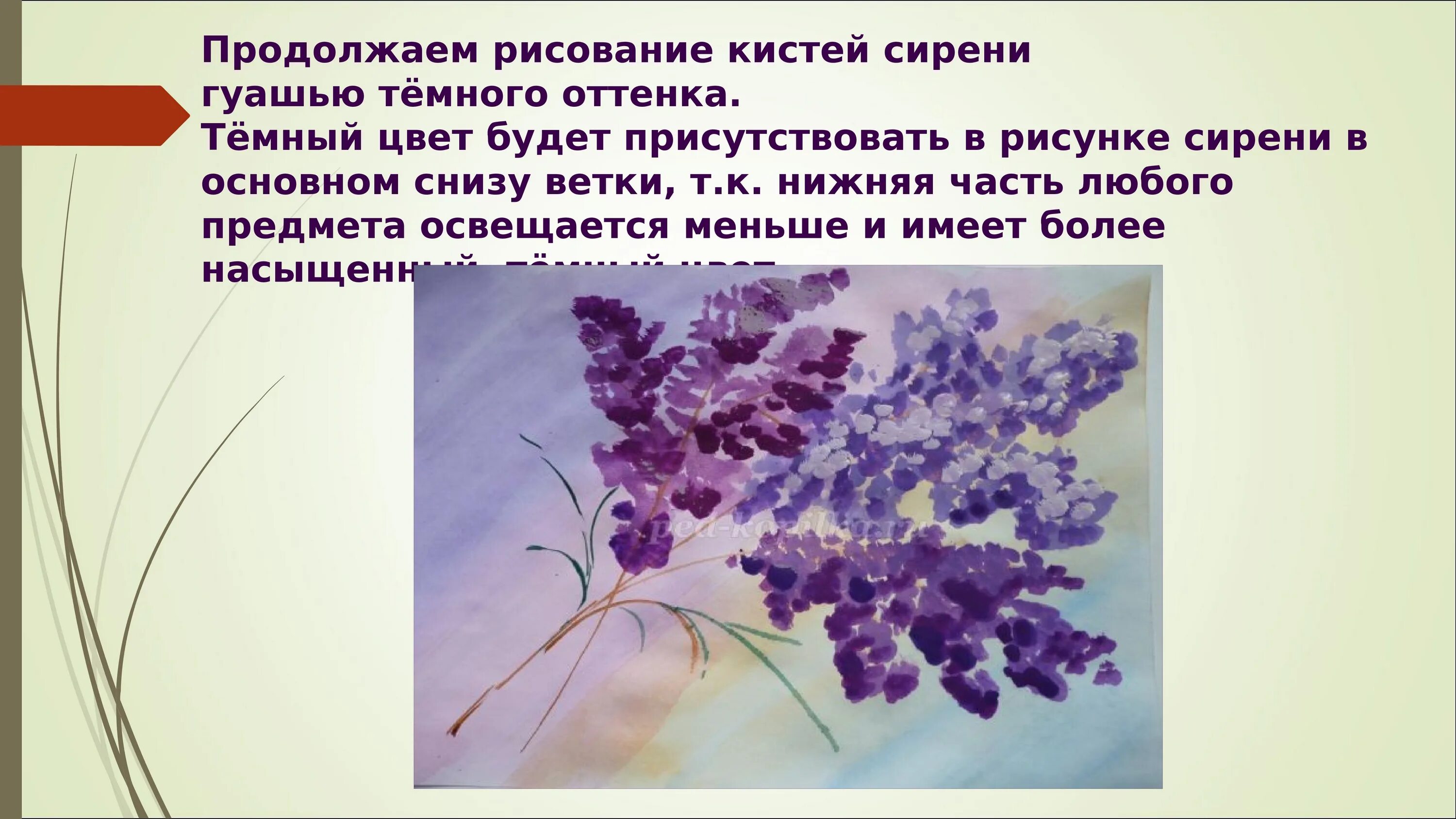 Сирень кроссворд. Сирень рисунок для презентации. Рисование веточки сирени для детей презентация. Сирень для 1 класса рисование. Кисть сирени.